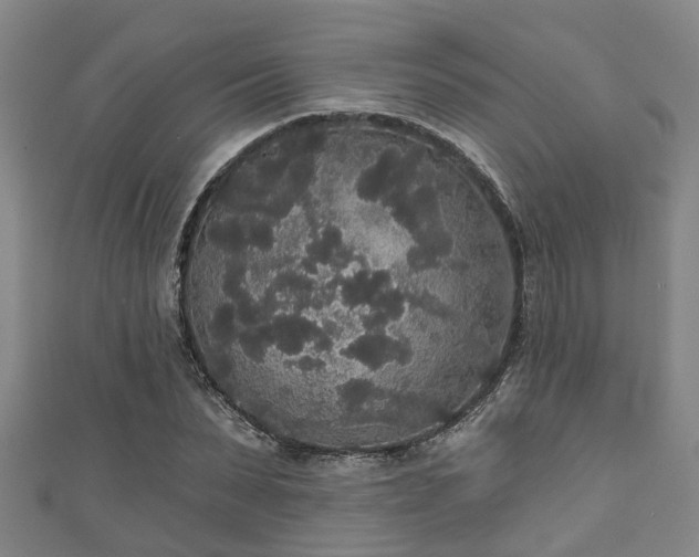 X0000111590879200907231212