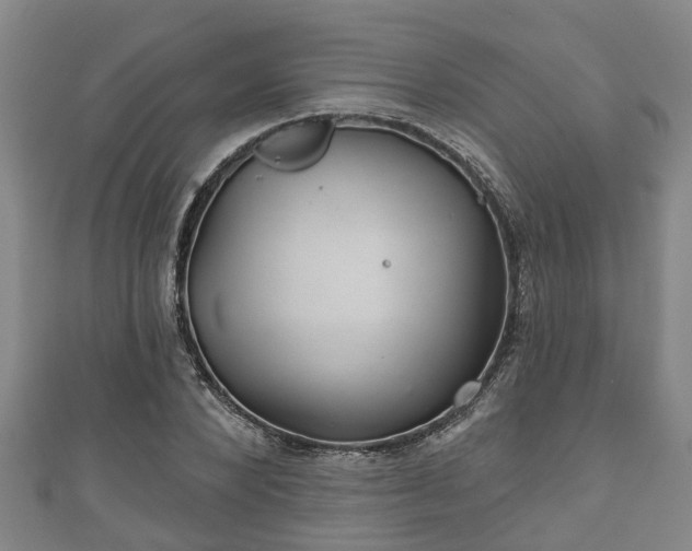 X0000111590880200907231212