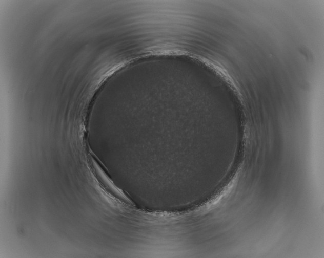 X0000111590881200907231212