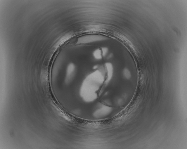 X0000111590882200907231212