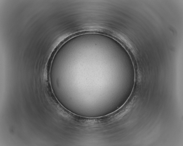 X0000111590883200907231212