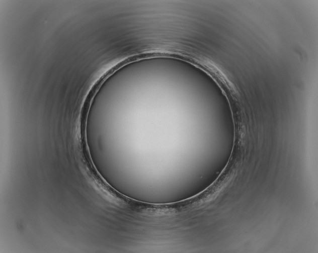 X0000111590884200907231212