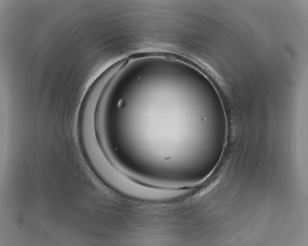 X0000111590885200907231212