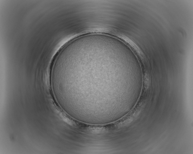 X0000111590886200907231212