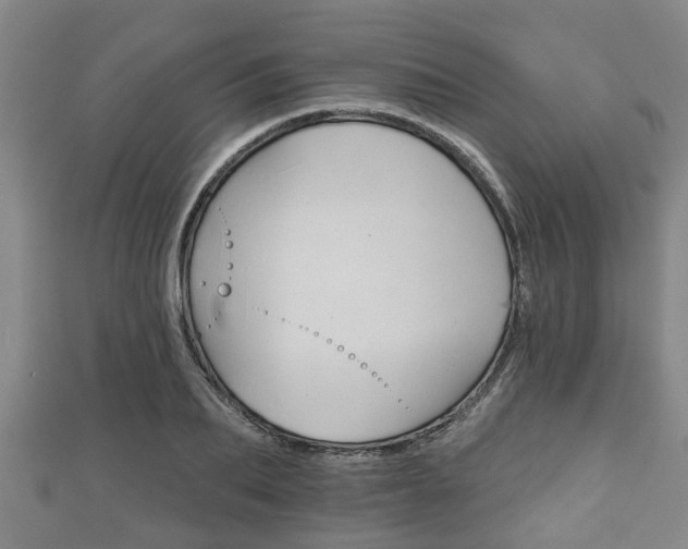 X0000111590887200907231212