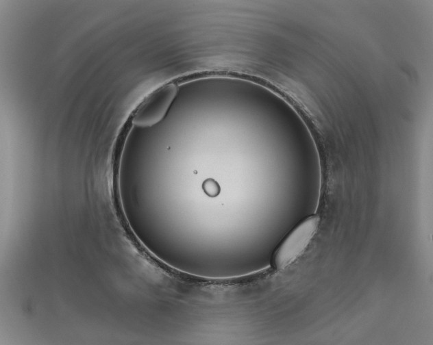 X0000111590888200907231212