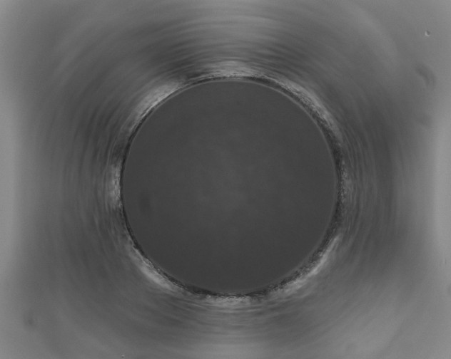 X0000111590889200907231212