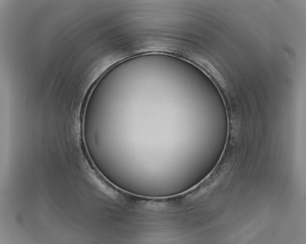 X0000111590890200907231212