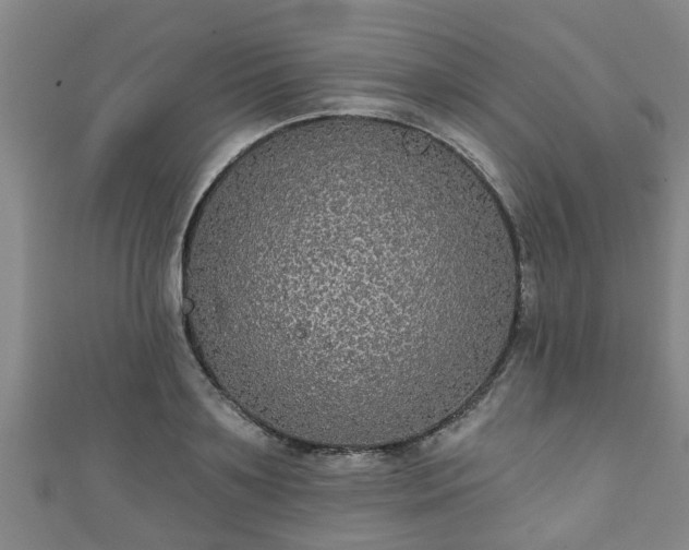 X0000111590891200907231212