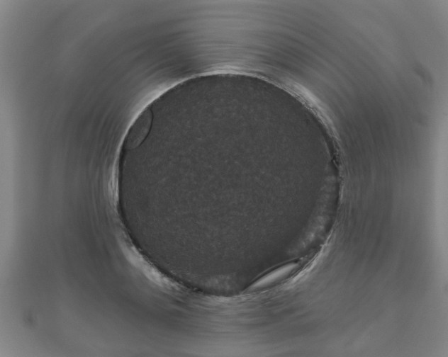 X0000111590892200907231212