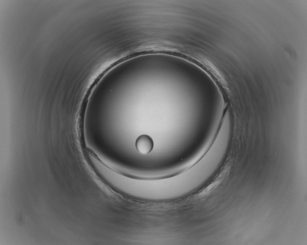 X0000111590893200907231212