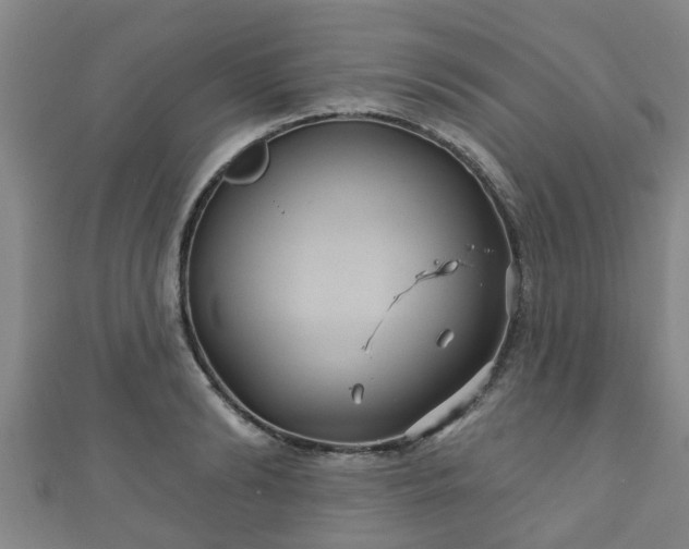 X0000111590894200907231212