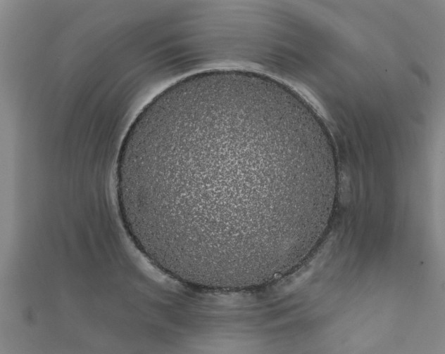 X0000111590895200907231212