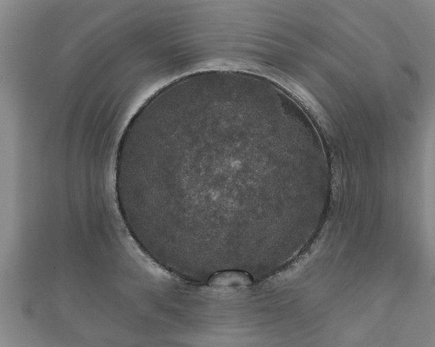 X0000111590896200907231212