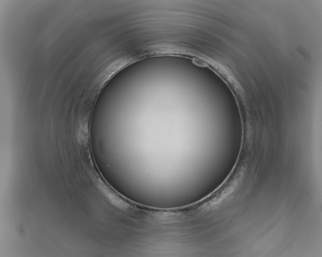 X0000111590897200907231212