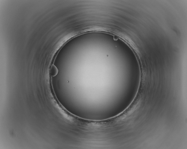 X0000111590898200907231212