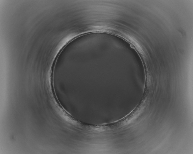 X0000111590899200907231212