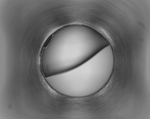 X0000111590900200907231212