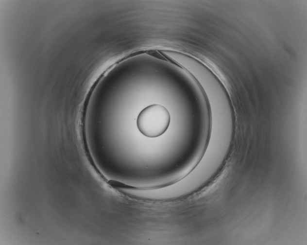 X0000111590901200907231212