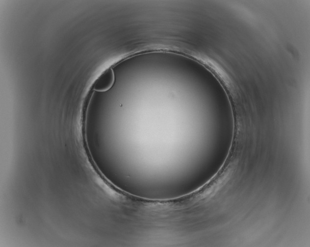 X0000111590902200907231212