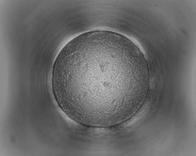 X0000111590903200907231212