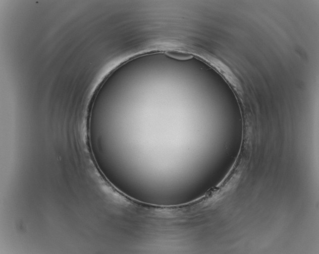 X0000111590904200907231212