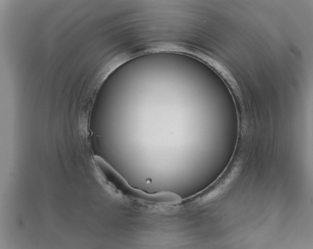 X0000111590905200907231212