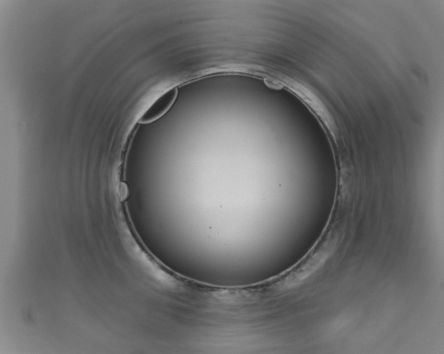 X0000111590906200907231212