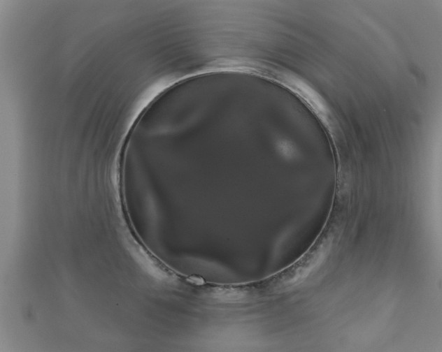 X0000111590907200907231212