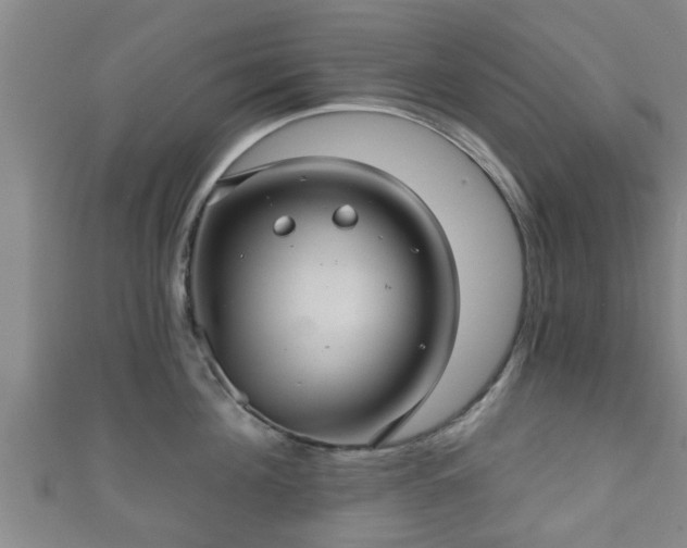 X0000111590908200907231212