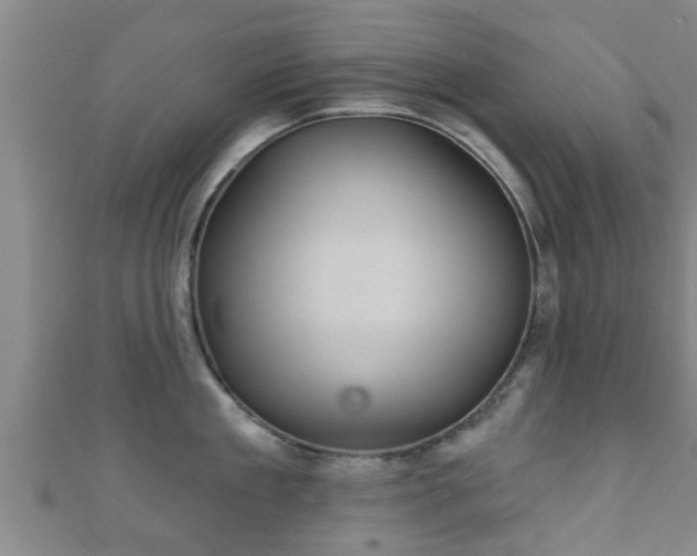 X0000111590909200907231212