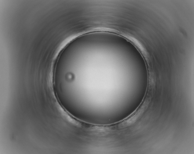 X0000111590910200907231212