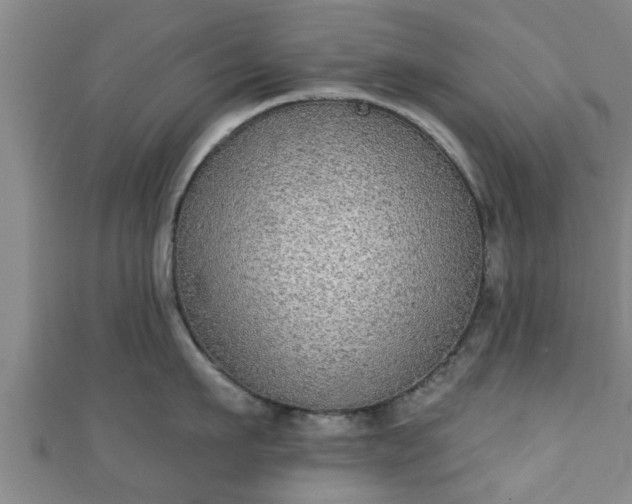 X0000111590911200907231212