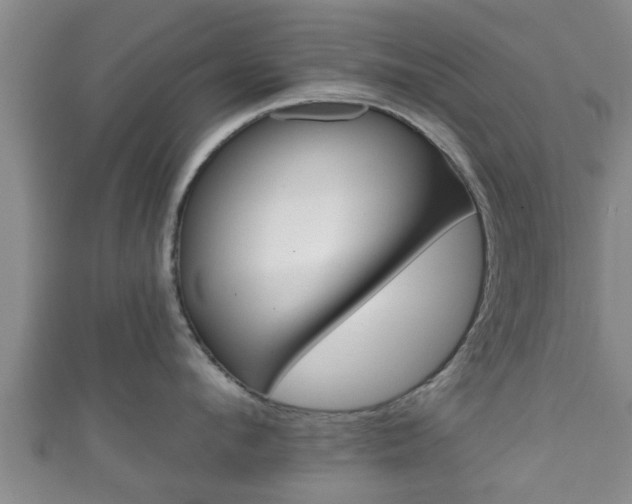 X0000111590912200907231212