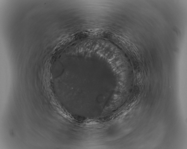 X0000111590913200907231211