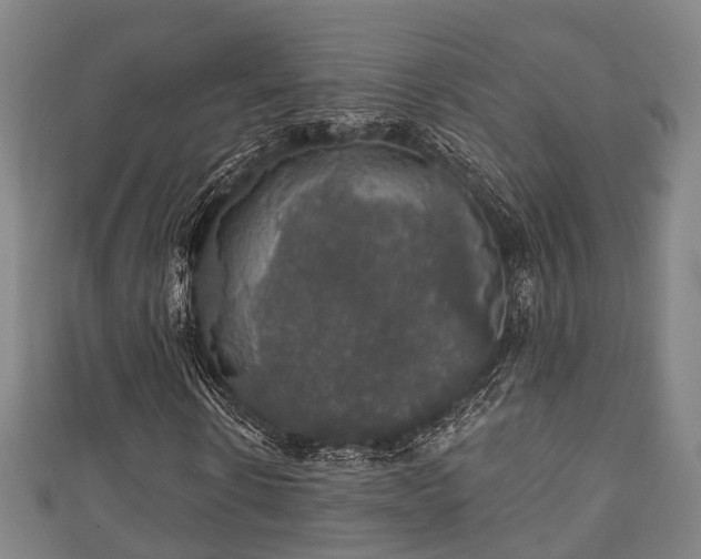 X0000111590914200907231211