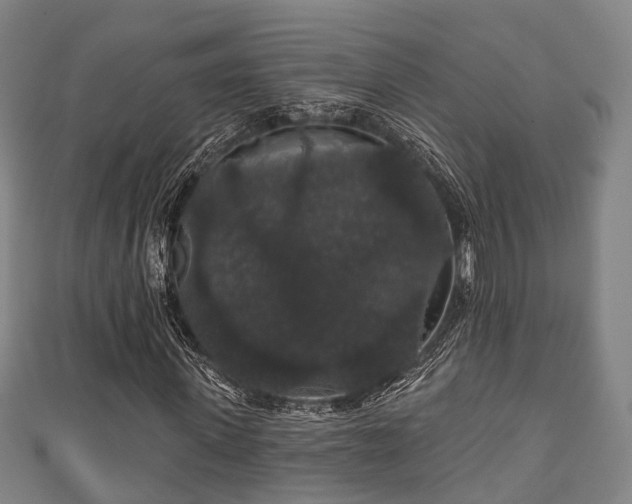 X0000111590915200907231211