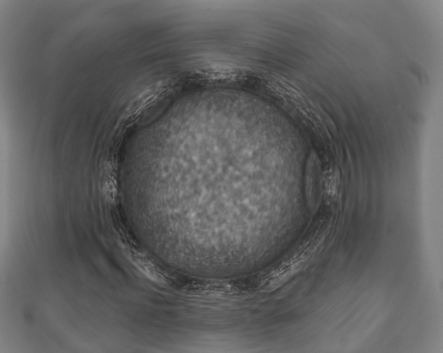 X0000111590916200907231211