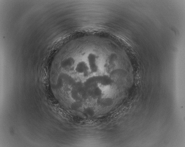 X0000111590917200907231211