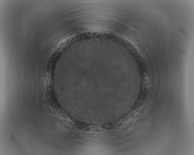 X0000111590918200907231211