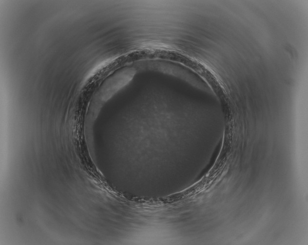 X0000111590919200907231211