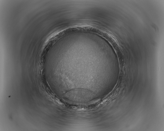 X0000111590920200907231211