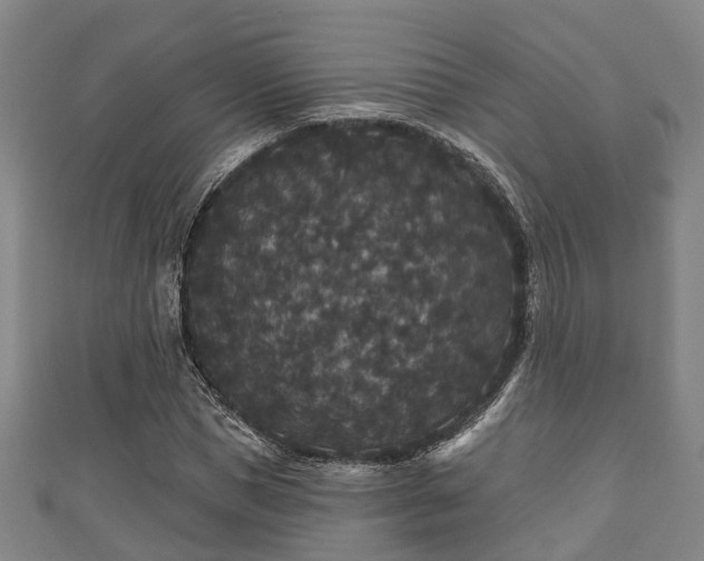 X0000111590921200907231211