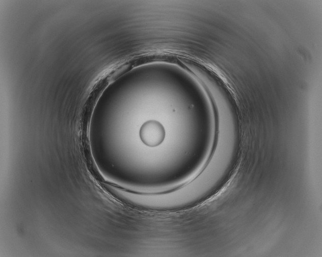 X0000111590922200907231211