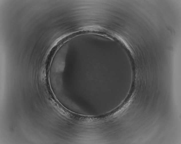 X0000111590923200907231211