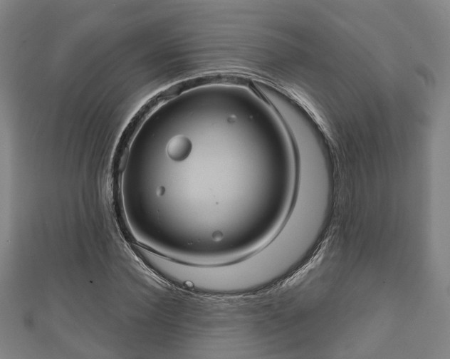 X0000111590924200907231211