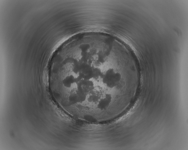 X0000111590925200907231211