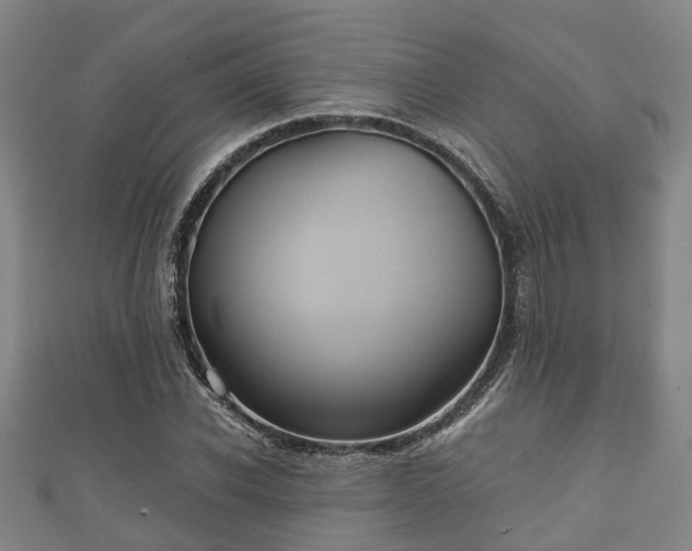 X0000111590926200907231211