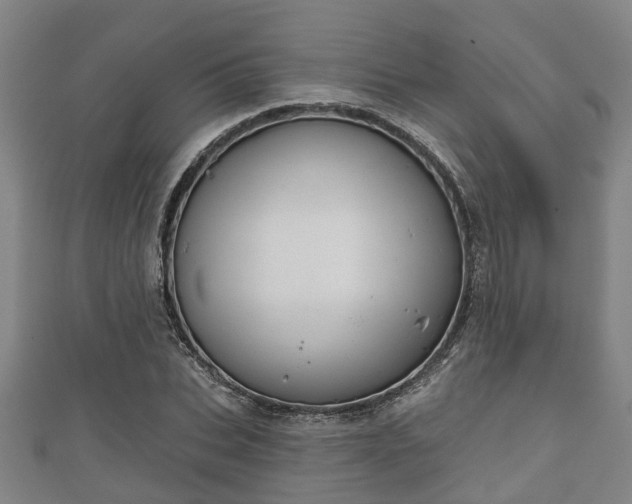 X0000111590927200907231211