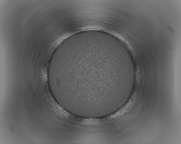 X0000111590929200907231211